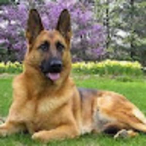 Meet your Posher, Cesar luis